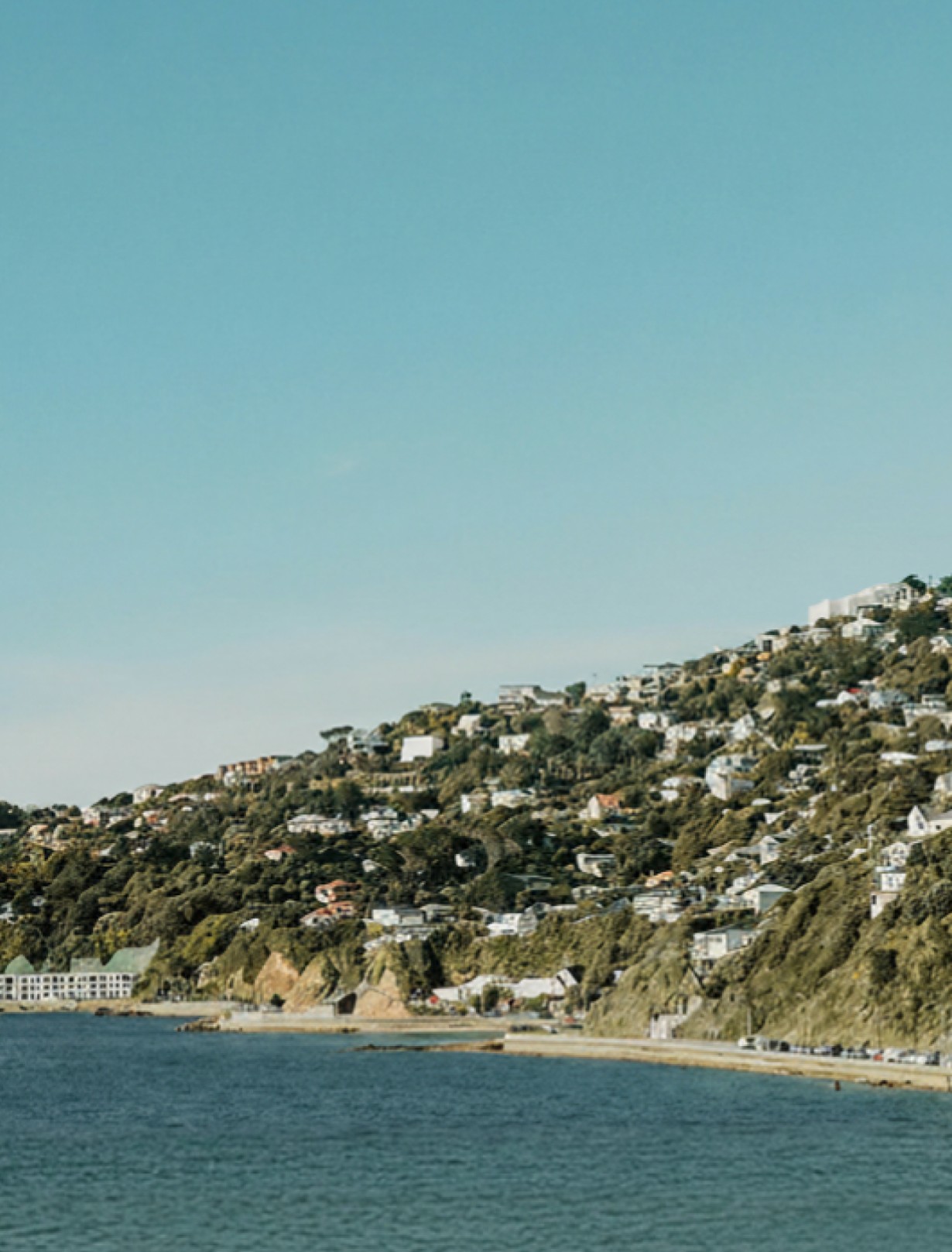 feature wellington coast